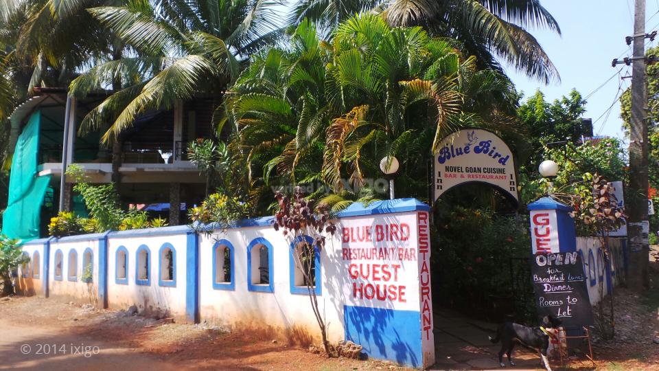 Blue Bird Guest House Goa