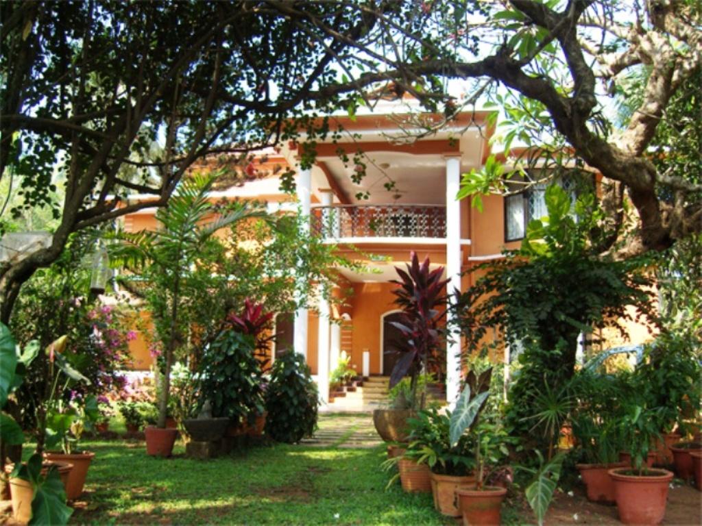 Casa Alexio Hotel Goa
