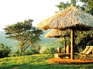 Wildernest Nature Resort Goa
